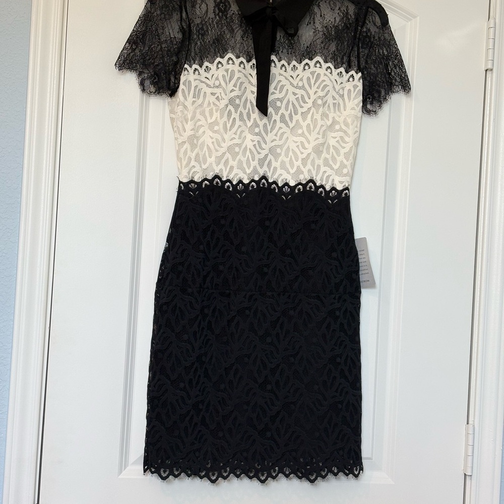 Sandro Guipure Dress - Picture 5 of 14